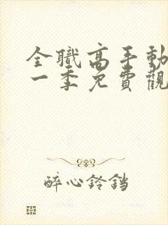 全职高手动漫第一季免费观看完整版