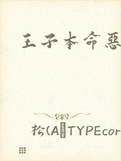 王子本命恶千金封面