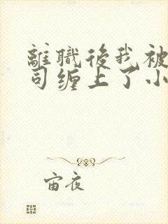 离职后我被前上司缠上了小说免费看