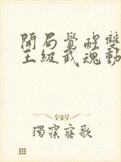 开局觉醒双生神王级武魂动漫