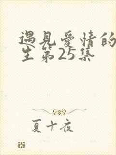 遇见爱情的利先生第25集封面