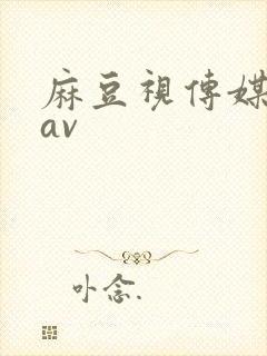 麻豆视传媒精品av