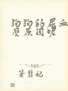 狗狗的尿血是什么原因呢