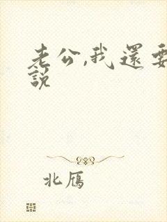 老公,我还要小说