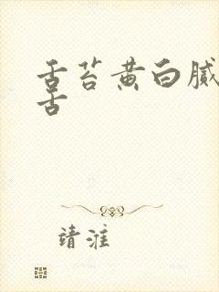 舌苔黄白腻齿痕舌