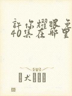 许你耀眼免费看40集在哪里可以看