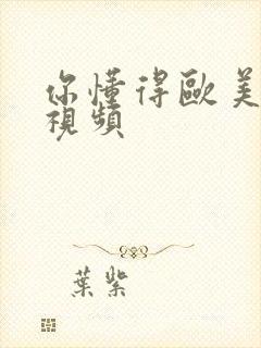 你懂得欧美日韩视频