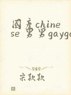 国产chinese 男男gaygay网站