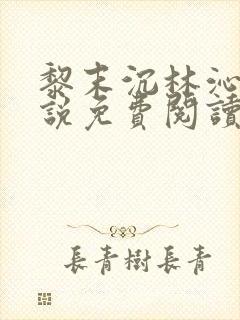 黎末沉林沁染小说免费阅读最新章节