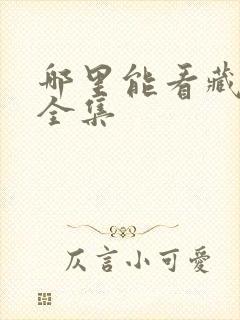 哪里能看藏海传全集