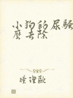 小狗的尿骚味怎么去除