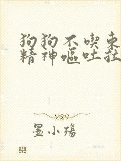 狗狗不吃东西没精神呕吐拉稀