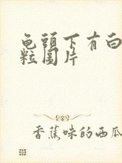 龟头下有白色肉粒图片