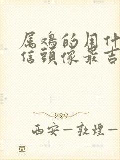 属鸡的用什么微信头像最吉祥旺财封面