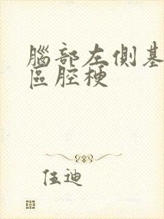 脑部左侧基底节区腔梗