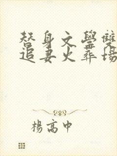 替身文学双男主追妻火葬场推荐