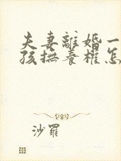 夫妻离婚一个小孩抚养权怎么判