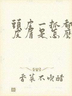 头皮一抓都是头皮屑是怎么回事