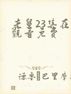 老舅23集在线观看免费