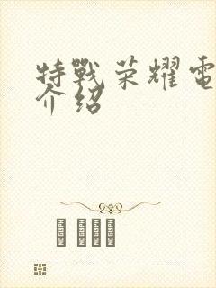 特战荣耀电视剧介绍