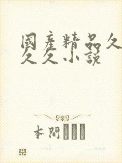 国产精品久久久久久小说