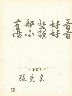 有哪些好看的官场小说好看封面