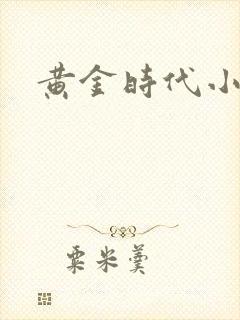 黄金时代小说封面