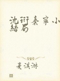 沈珩秦宁小说大结局