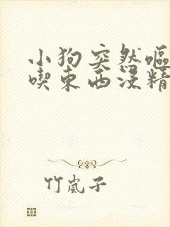 小狗突然呕吐不吃东西没精神怎么办封面