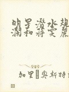 明星潜水规则杨澜和蒋雯丽封面