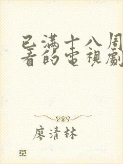 已满十八周岁可看的电视剧日本封面