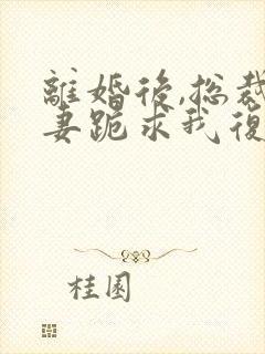 离婚后,总裁前妻跪求我复合短剧热播