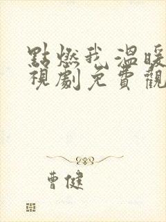 点燃我温暖你电视剧免费观看完整