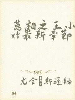 万相之王小说txt最新章节封面