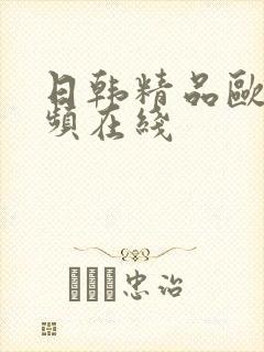 日韩精品欧美视频在线