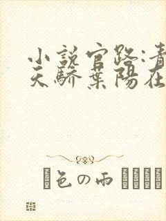 小说官路:青云天骄叶阳在线阅读