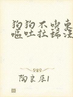 狗狗不吃东西还呕吐拉稀没精神怎么办