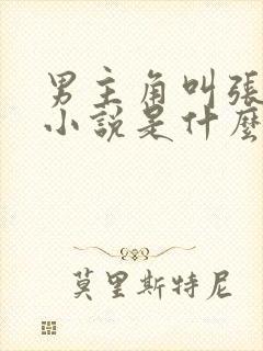 男主角叫张成的小说是什么