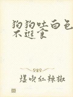 狗狗吐白色泡沫不进食