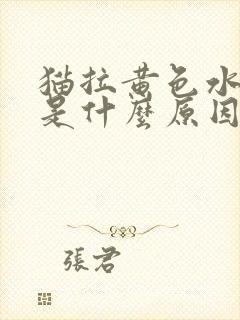 猫拉黄色水样便是什么原因