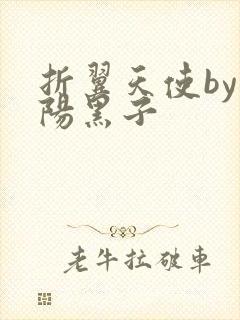 折翼天使by太阳黑子封面