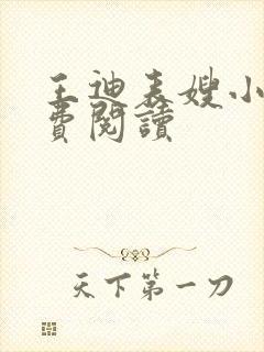 王迪表嫂小说免费阅读