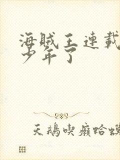 海贼王连载了多少年了封面