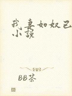 我妻如奴已完结小说