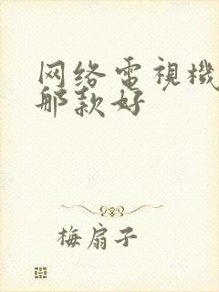 网络电视机顶盒那款好