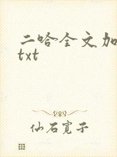 二哈全文加番外txt