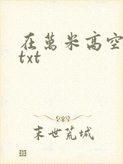 在万米高空降临txt封面