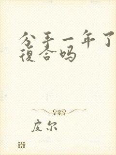 分手一年了可以复合吗封面