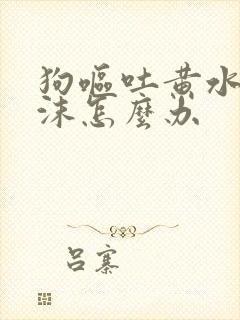 狗呕吐黄水带泡沫怎么办