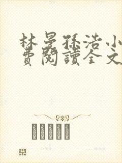 林曼孙浩小说免费阅读全文最新章节